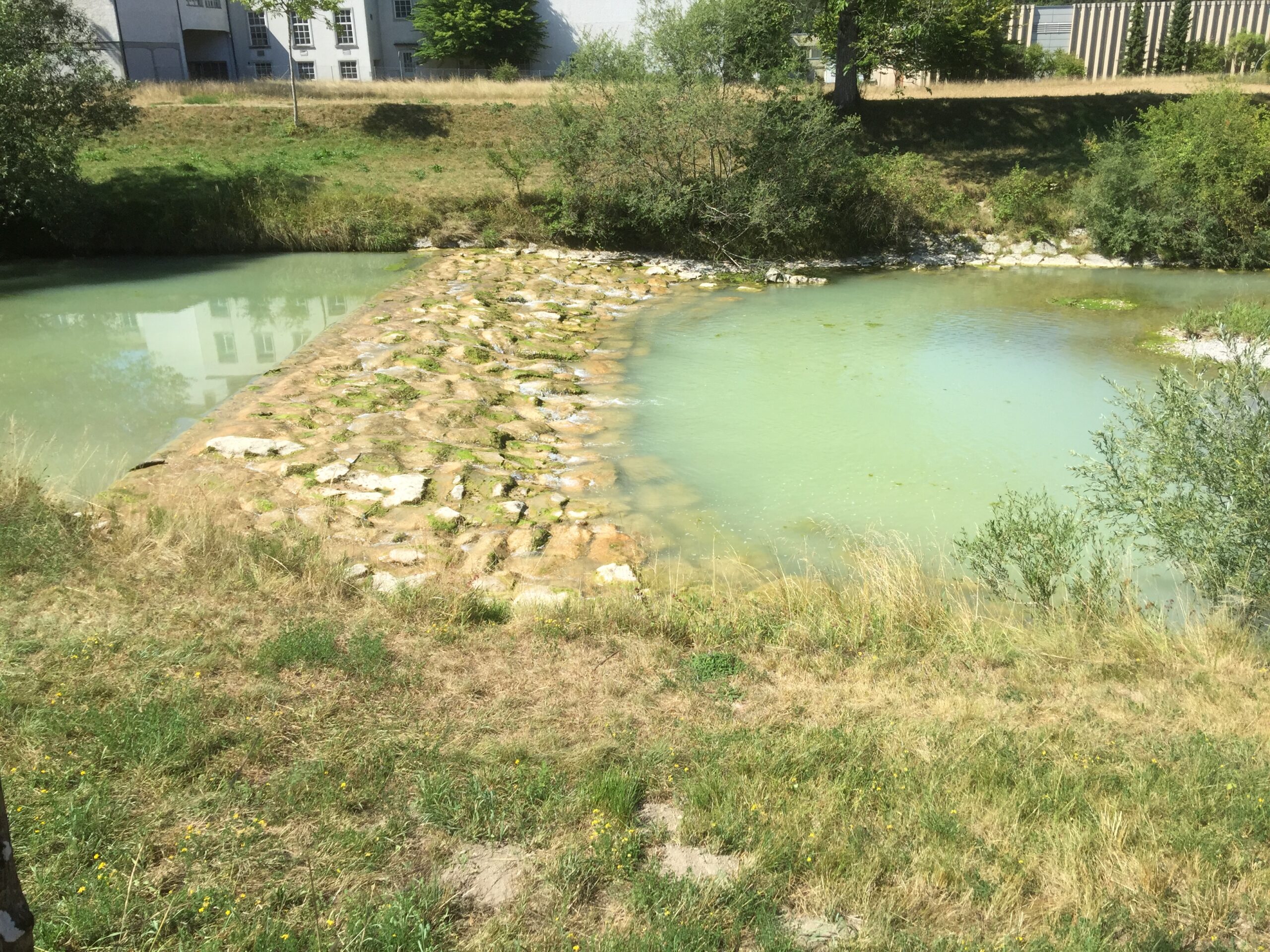 La soupe aux canards
