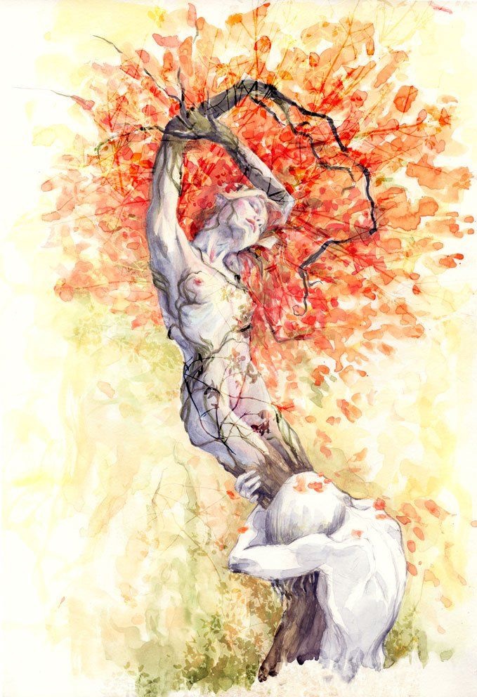 L’arrimage symbolique