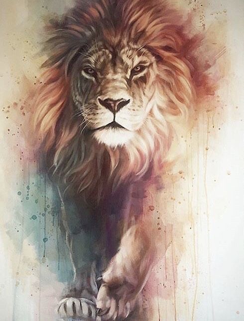 Lion XIV