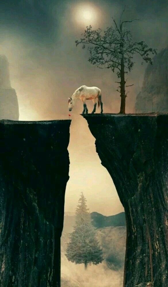 Le cheval entre deux falaises