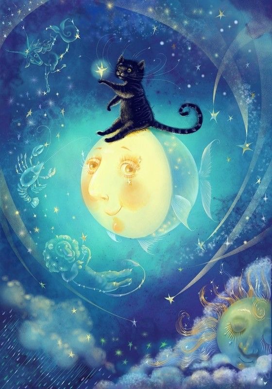 Le chat sur la Lune
