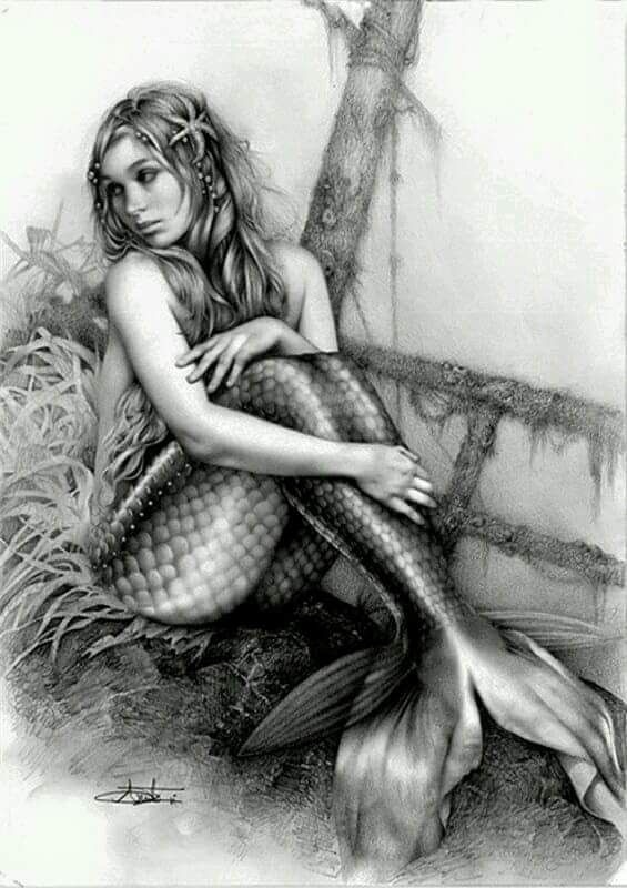 La sirène diatonique