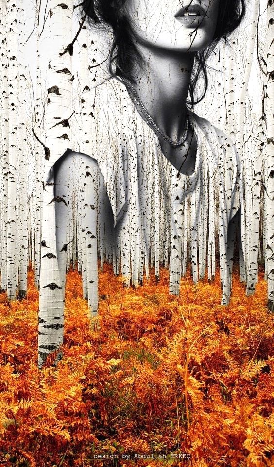 La forêt vierge