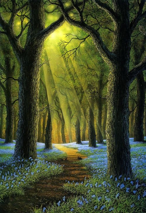 Les forêts du lundi - 1