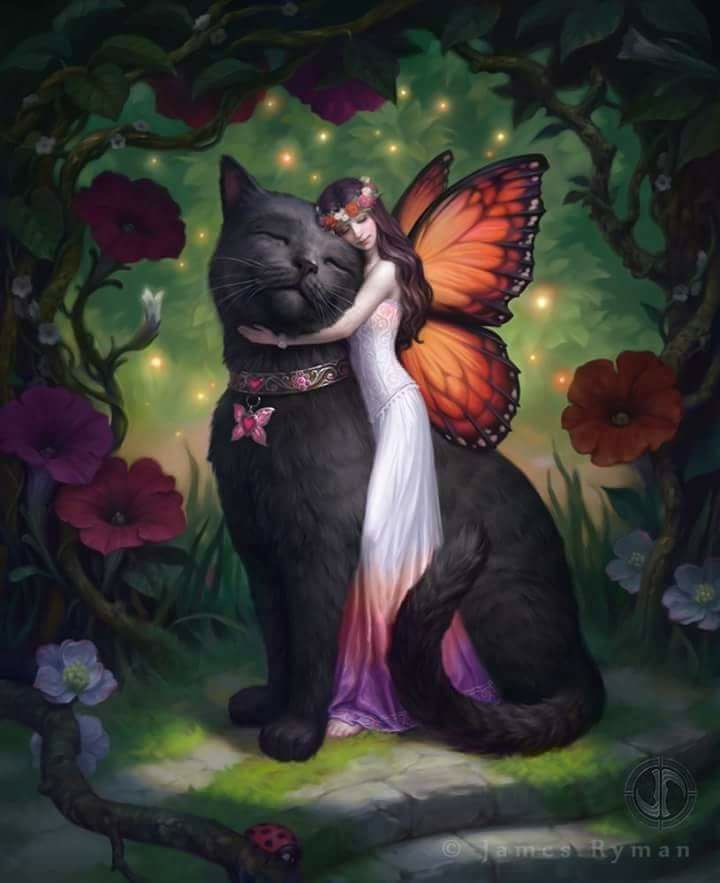 Caresse-moi !