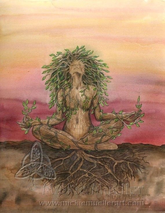 Deep roots / Les racines profondes