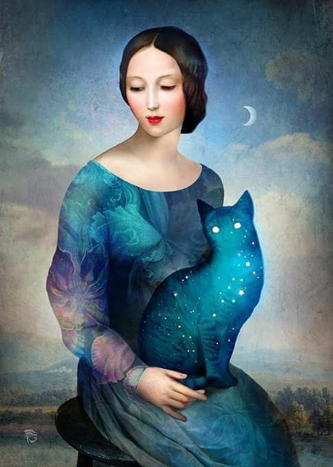 Le chat couleur du temps