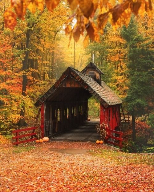 Le pont de l’amour