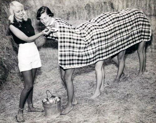 Un remède de cheval