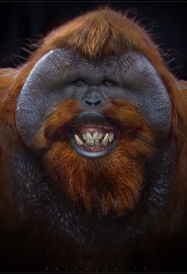 Le sourire du cœur