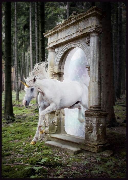 La vérité de la licorne