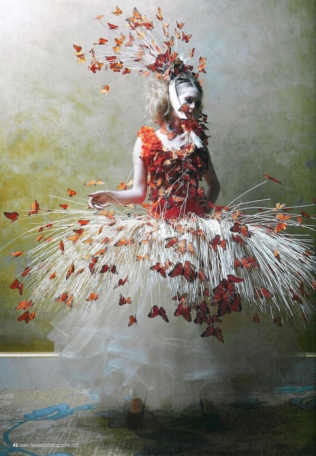Image galerie