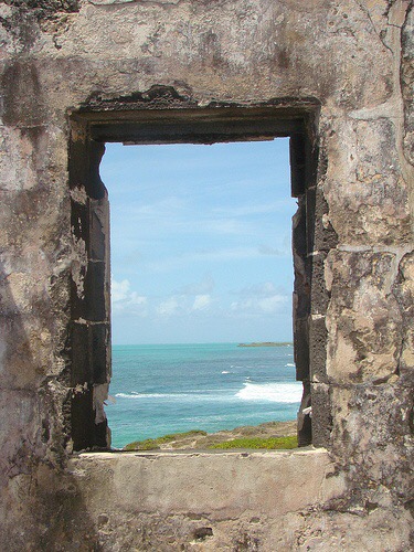 Image galerie