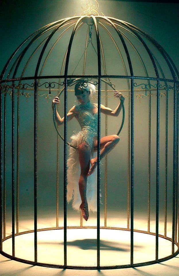 La journée de la cage