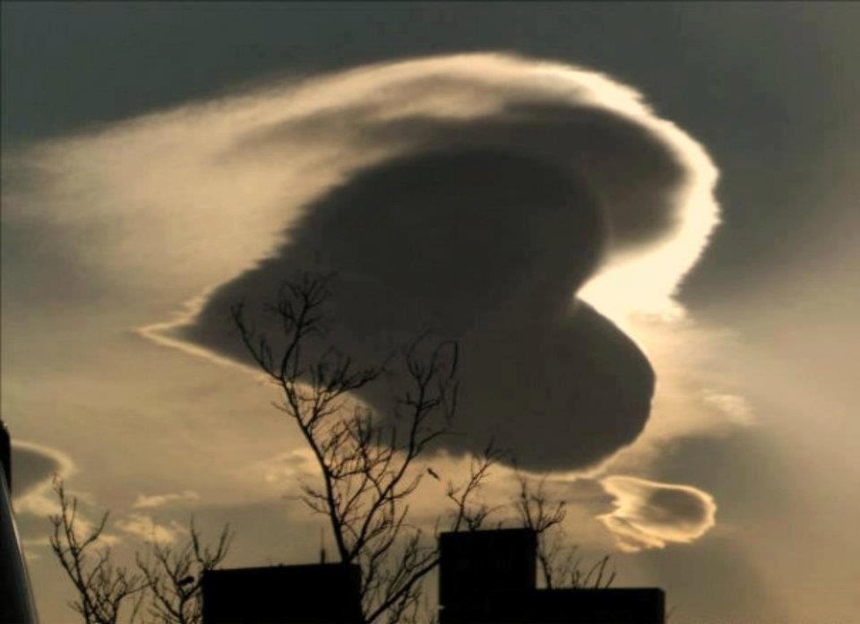 La force de la nature