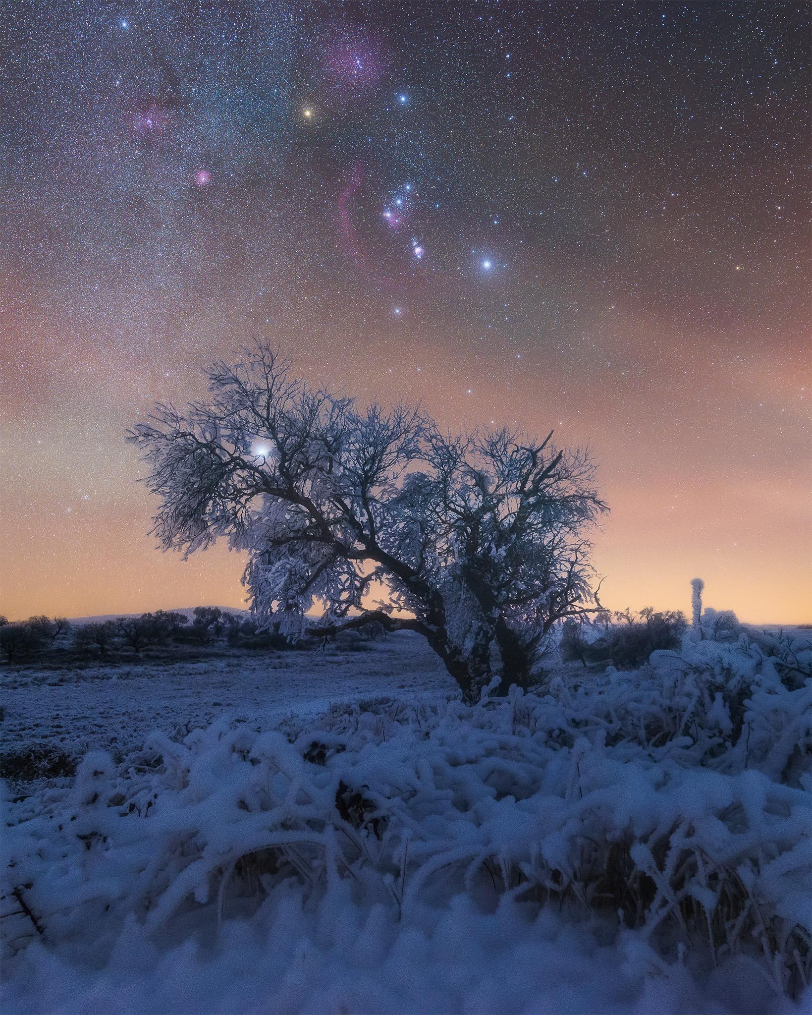Orion