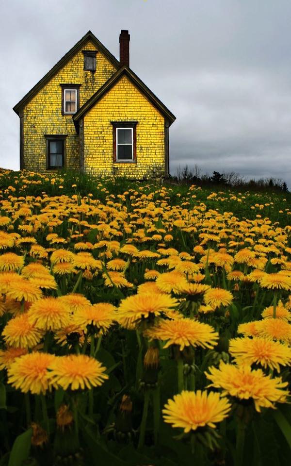 Réveil en jaune