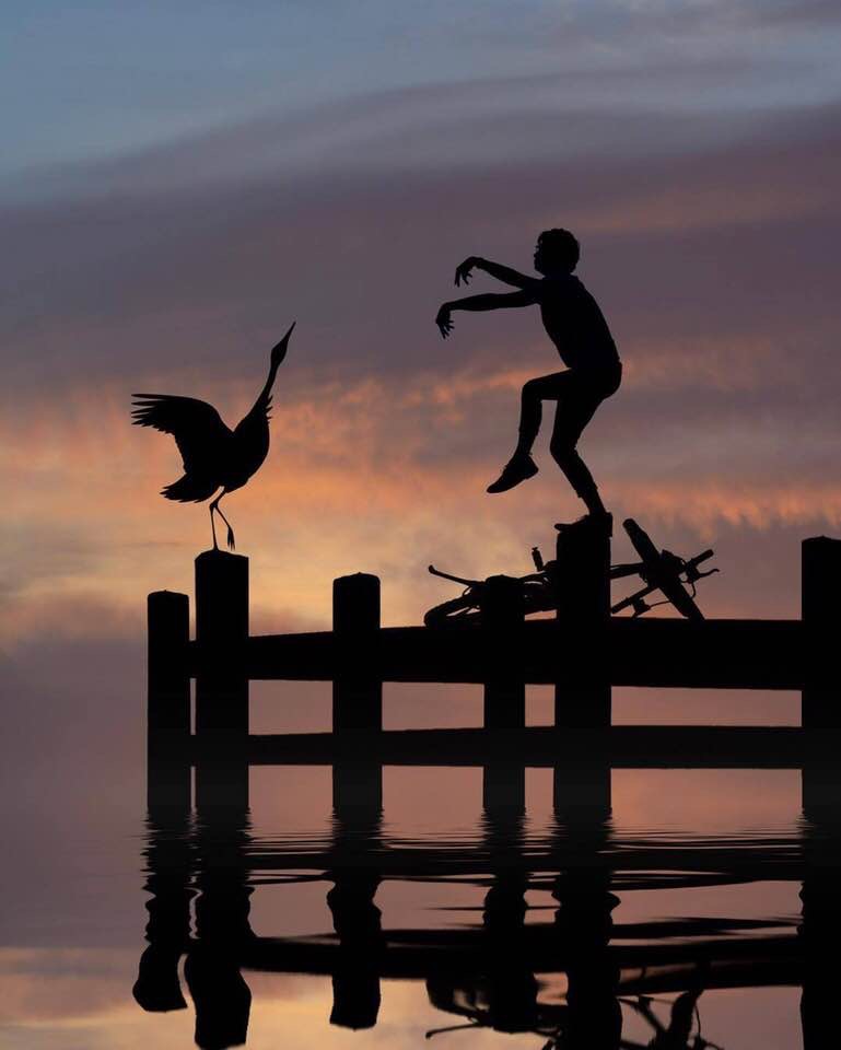 Le ballet des silhouettes