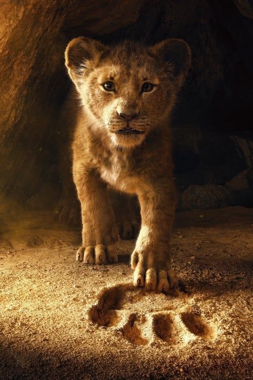 Le cycle des lions