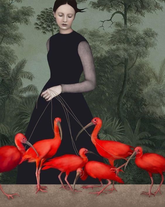 Les flamants rouges