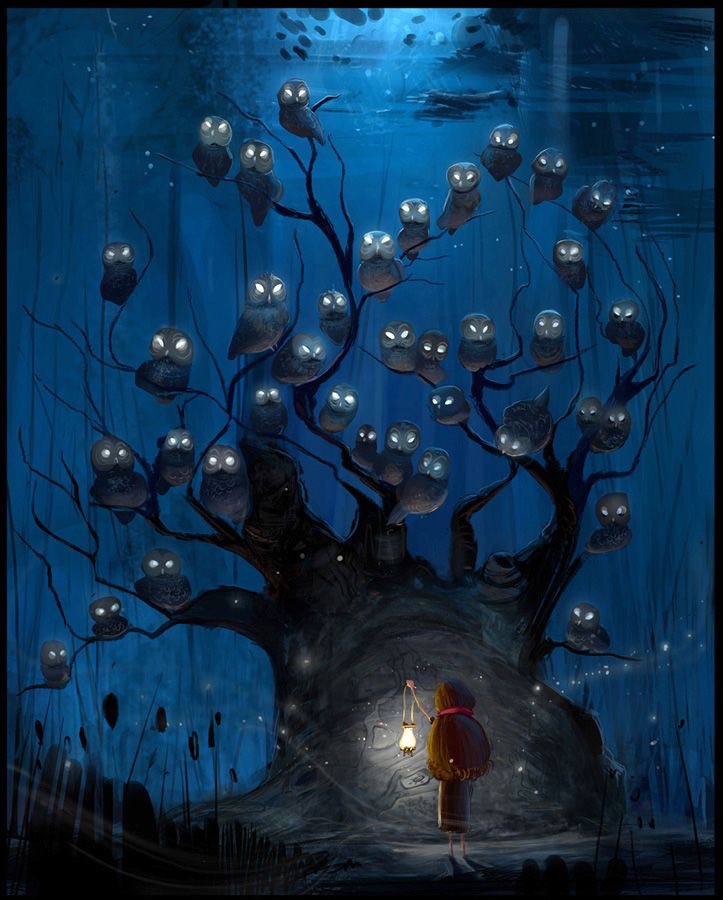 La nuit, les chouettes sourient