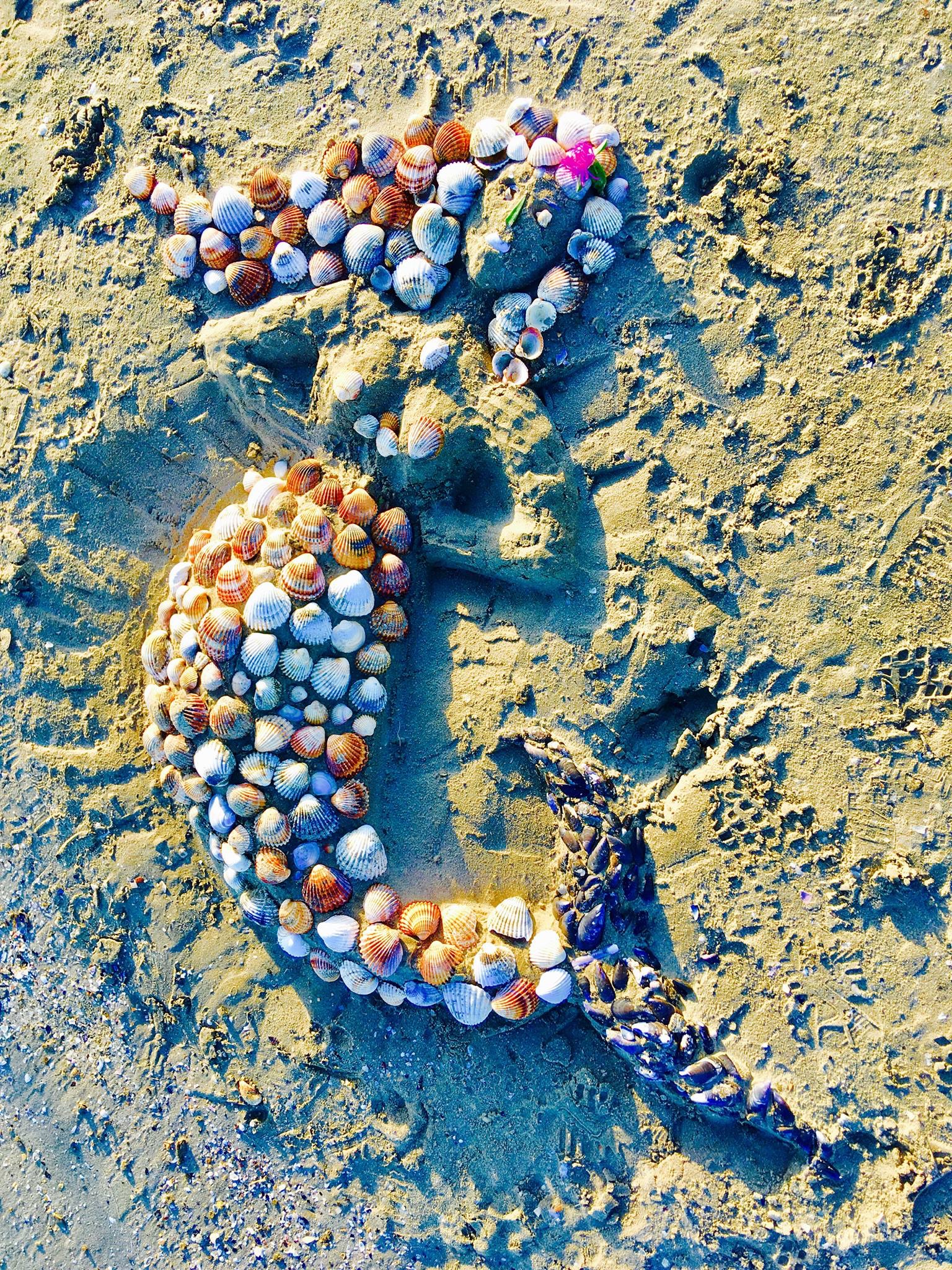 L’évocation de la sirène