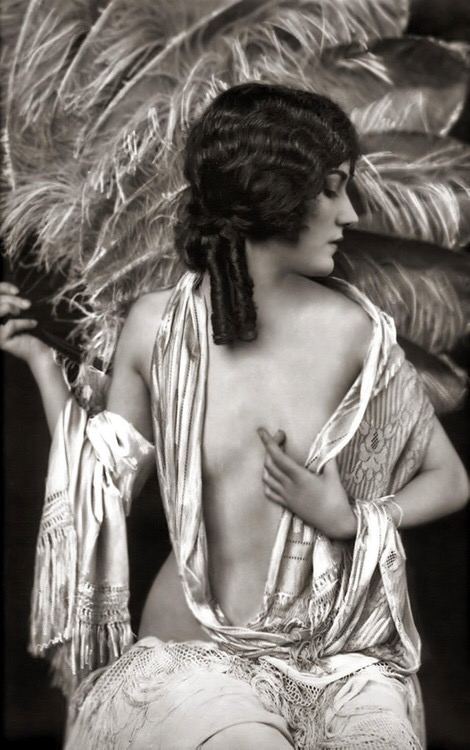 Image galerie