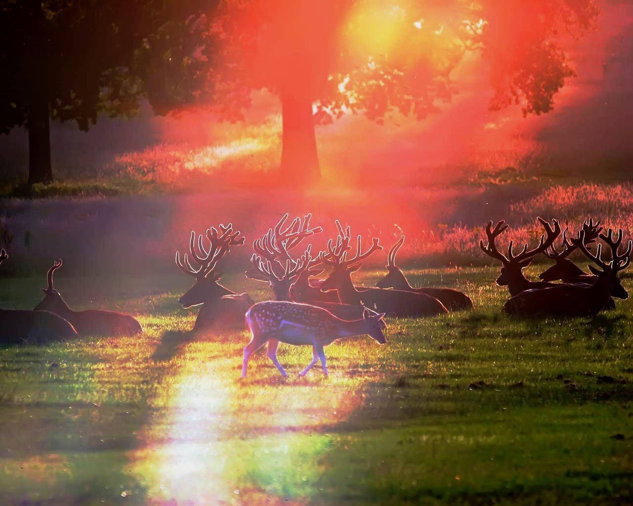 Sous les feux du soleil