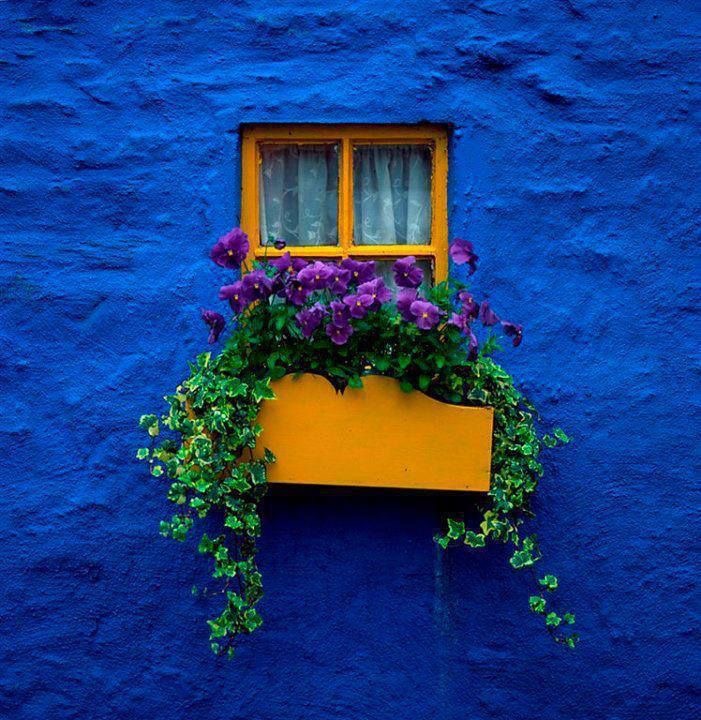 Derrière ma fenêtre bleue
