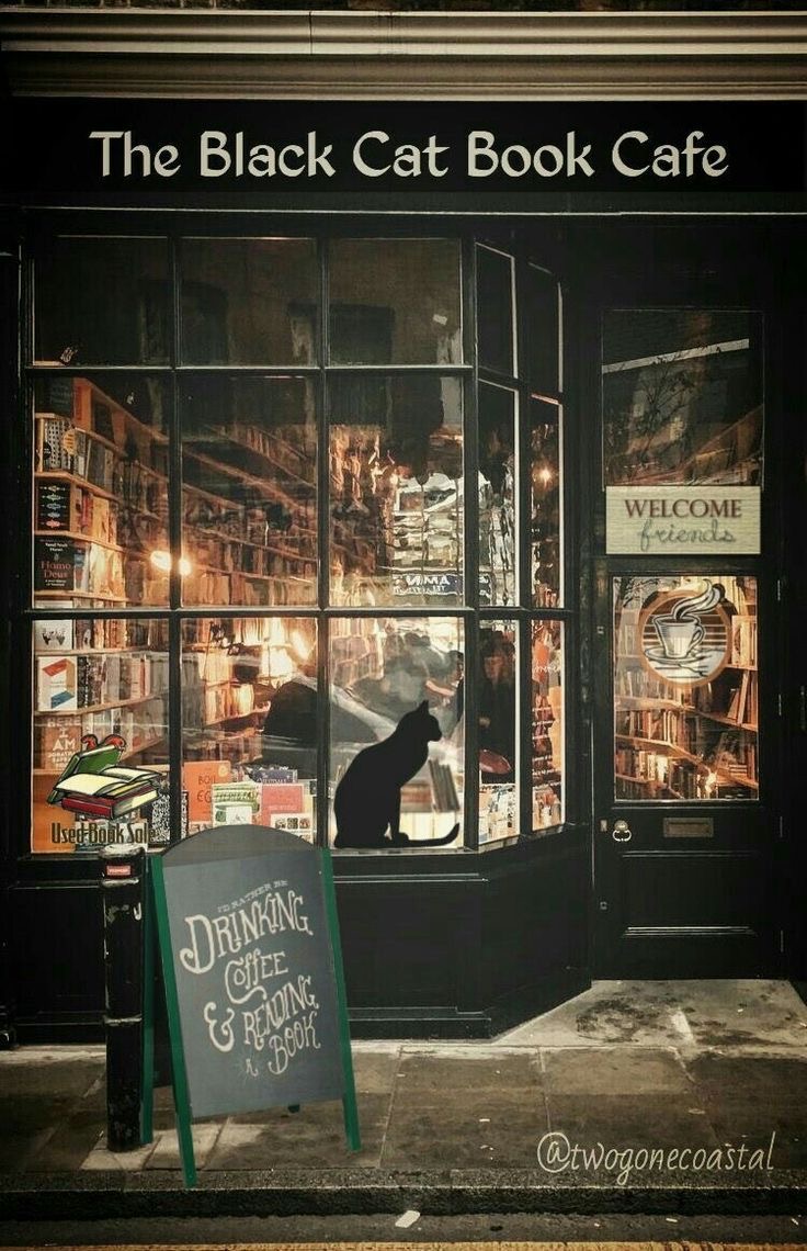 The Black Cat Book Cafe
