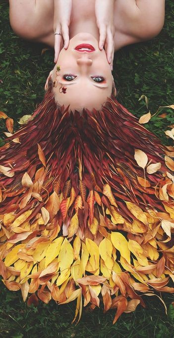 Coupe d’automne