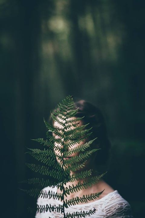 Portrait d’automne
