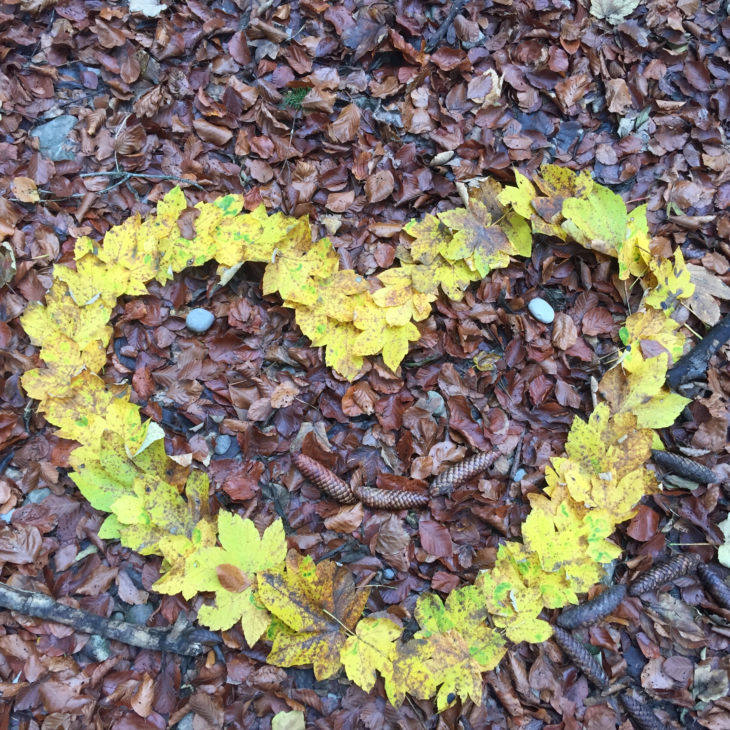 Le cœur de novembre