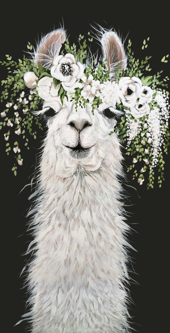 Foly Lama