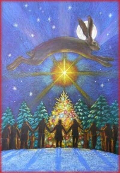Solstice cunicole