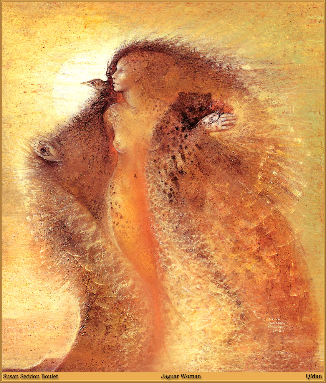 Image galerie