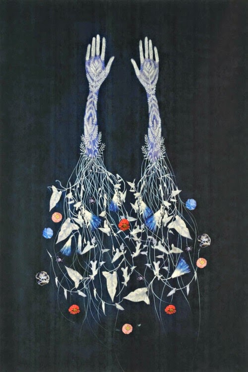 Image galerie