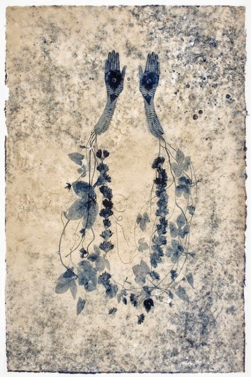 Image galerie