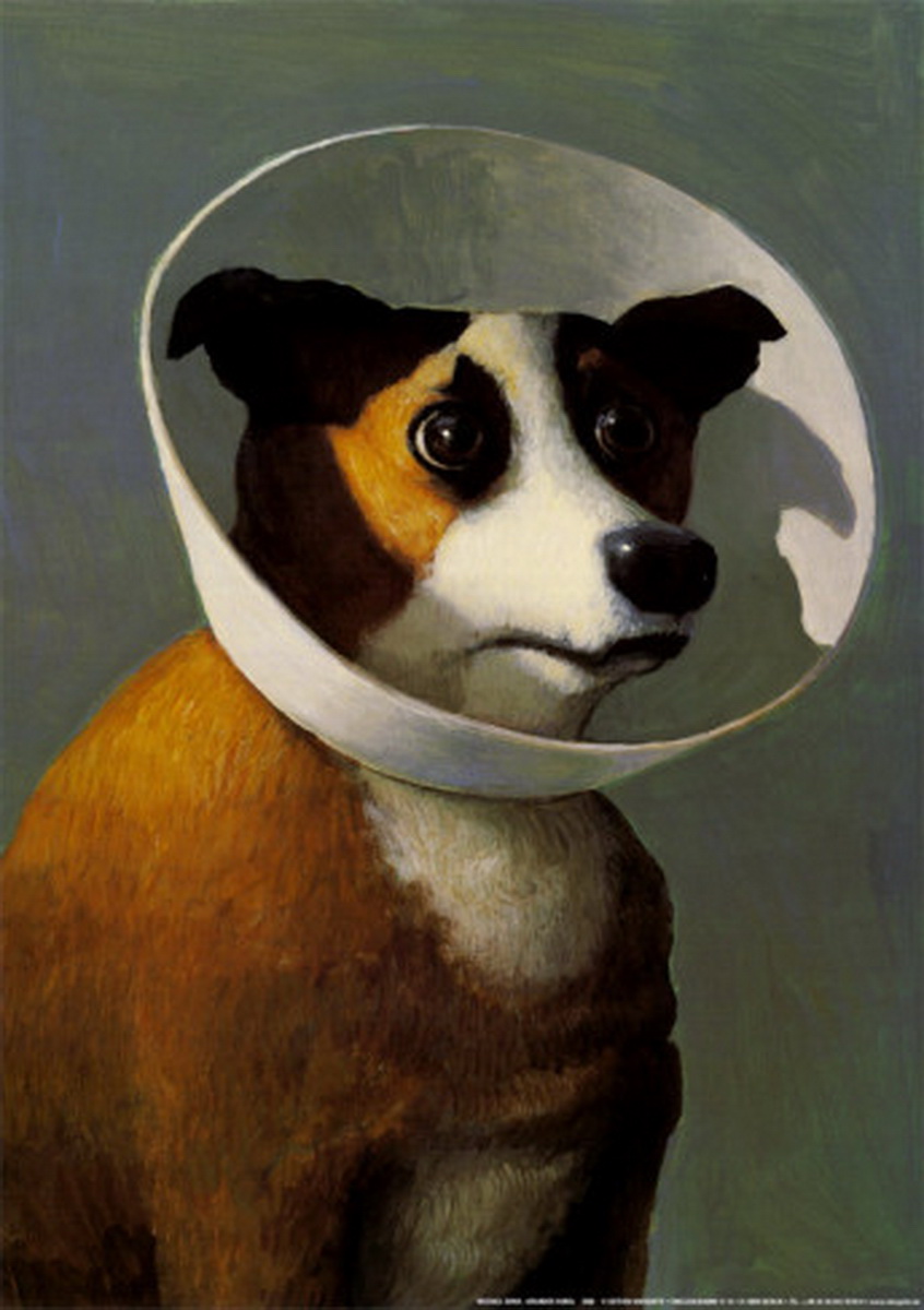 Image galerie