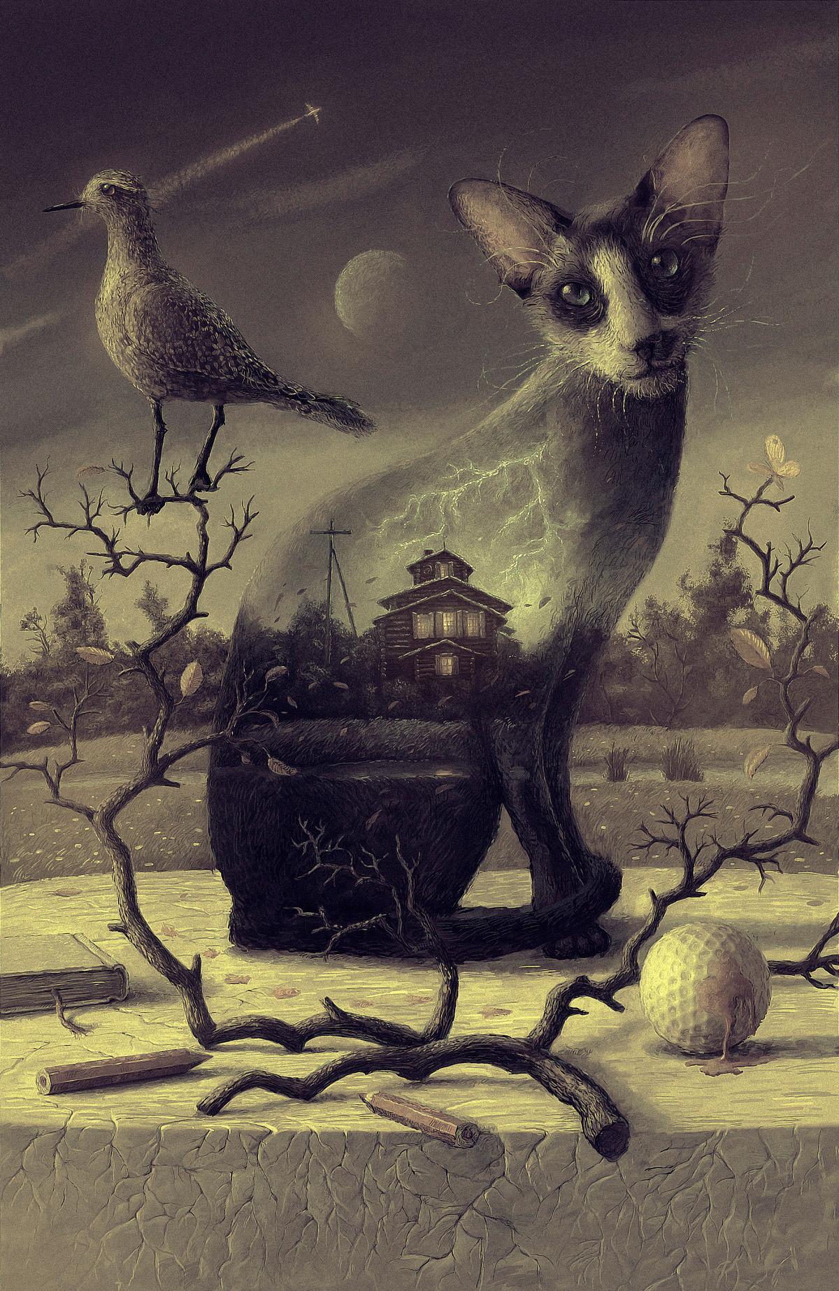 Le chat fantôme