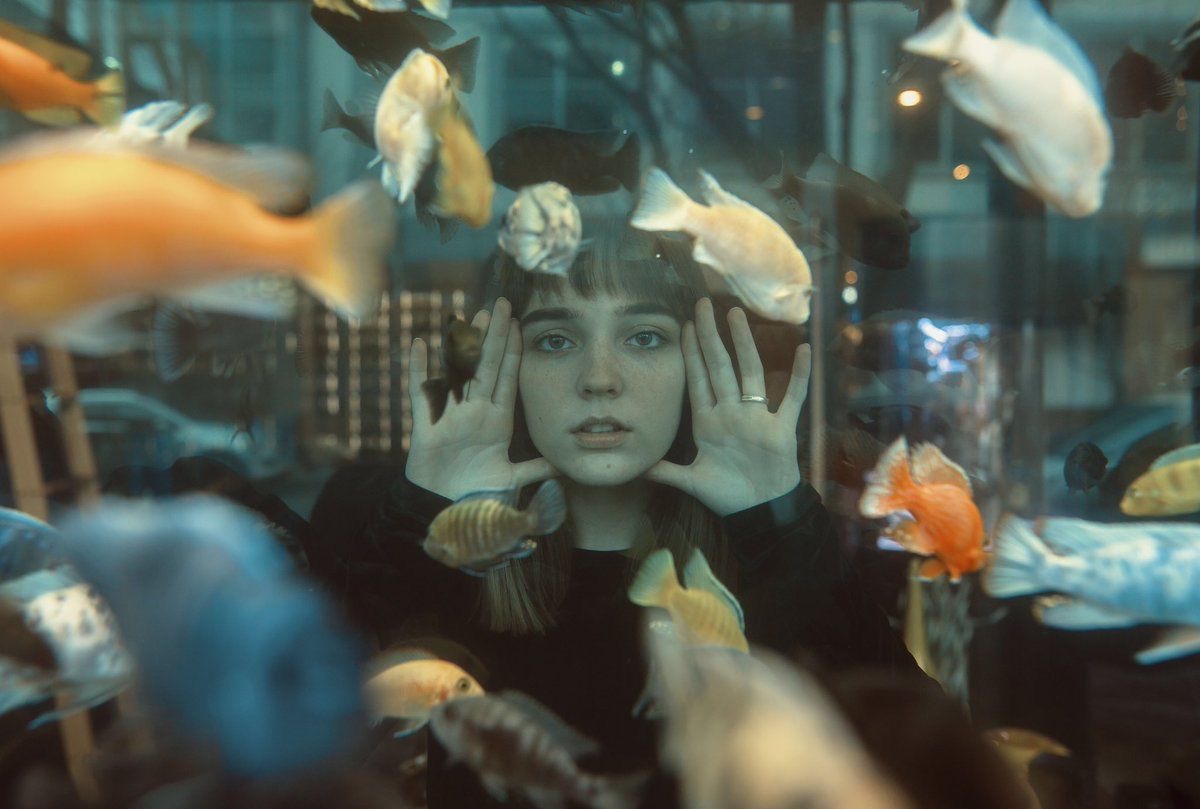 À l’écoute des poissons
