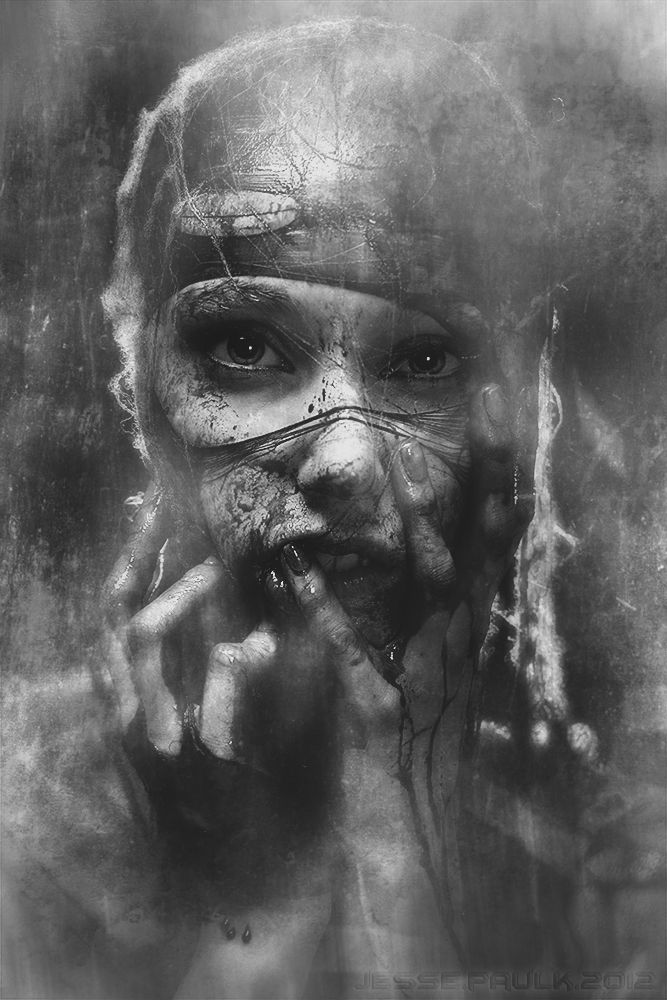 Image galerie