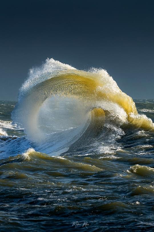 La vague d'or