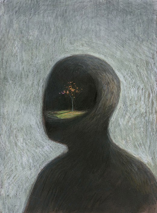 Image galerie