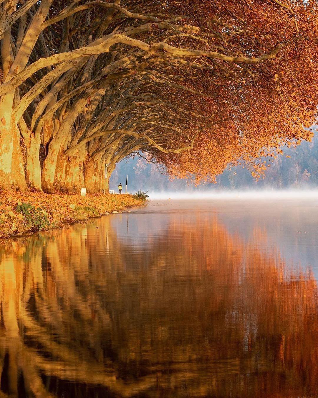 Présence de la Nature