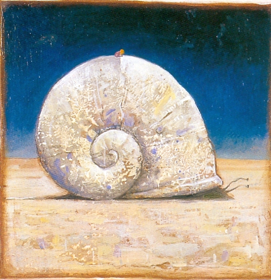Image galerie