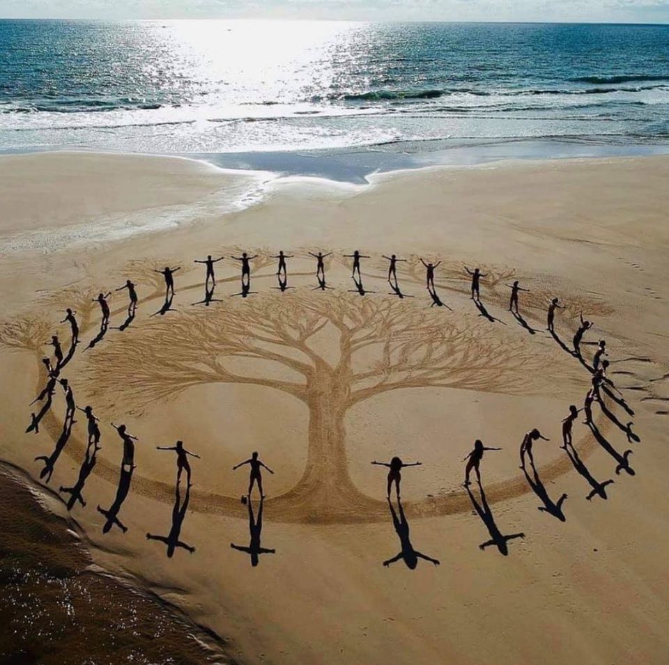 La réhabilitation