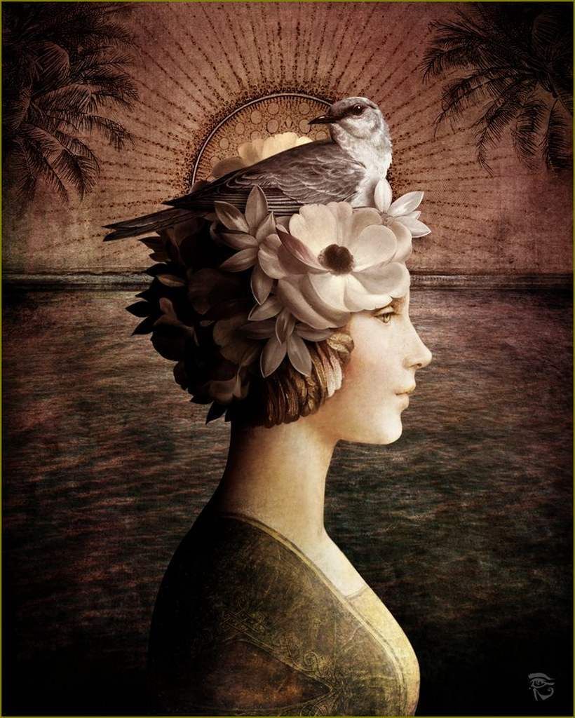 L’aube de l’intuition