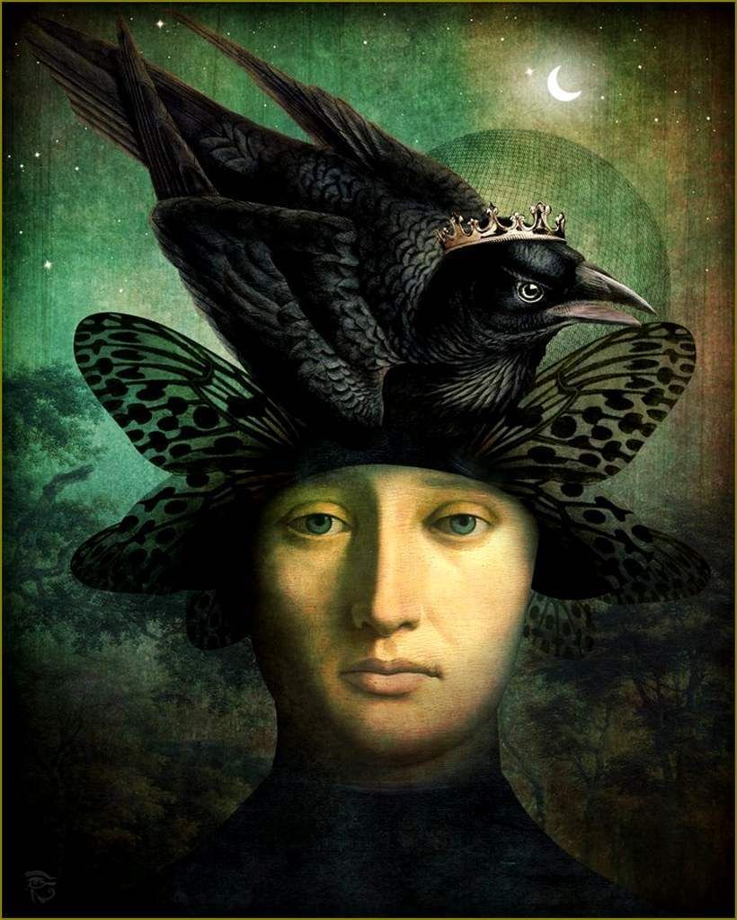 Image galerie
