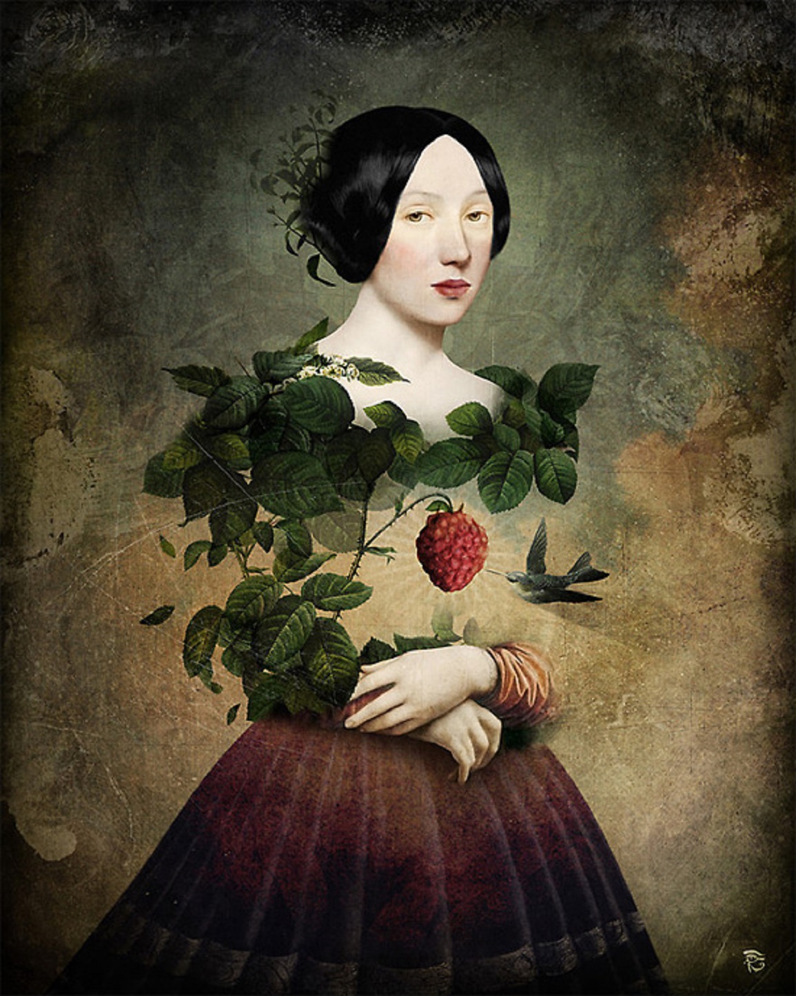 Image galerie